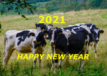 【2021】新年あけましておめでとうございます！