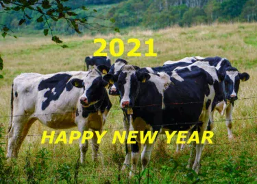 【2021】新年あけましておめでとうございます！